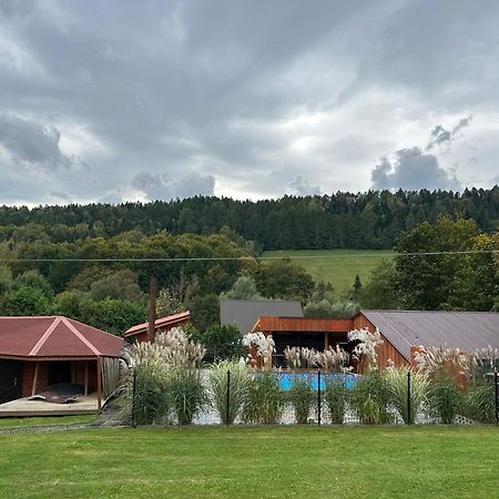 U Zrodel Strwiaza Villa Ustrzyki Dolne Dış mekan fotoğraf