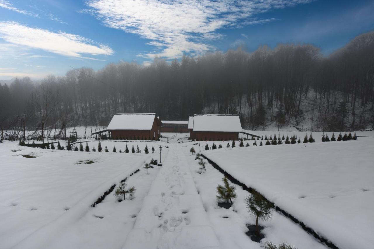 U Zrodel Strwiaza Villa Ustrzyki Dolne Dış mekan fotoğraf
