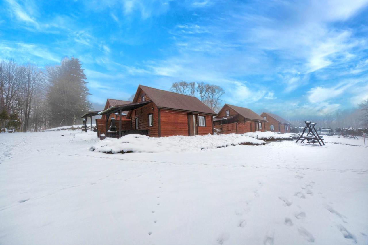 U Zrodel Strwiaza Villa Ustrzyki Dolne Dış mekan fotoğraf